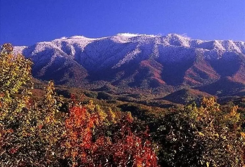 Cabin Fever Lodge #750