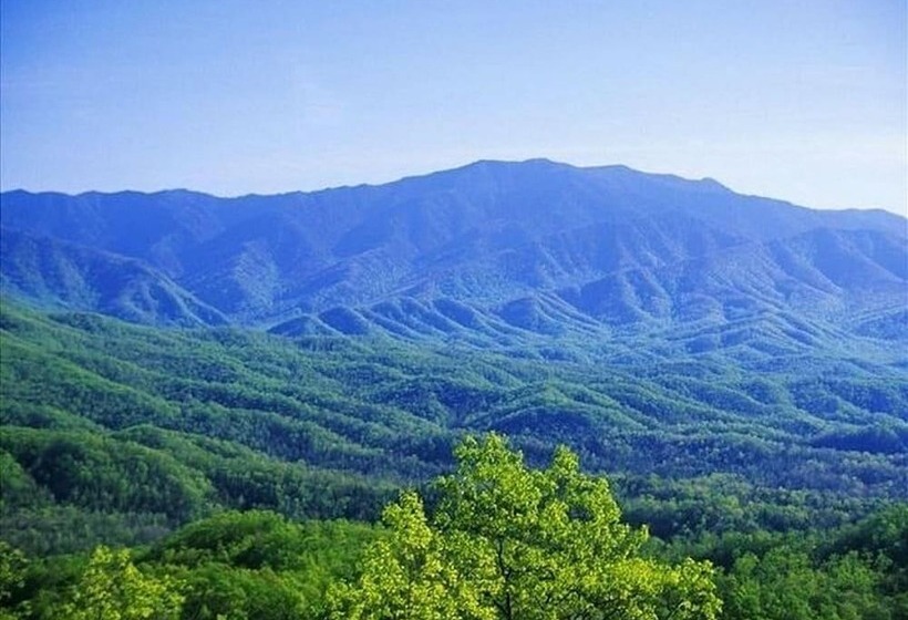 Cabin Fever Lodge #750