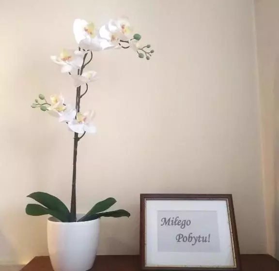 Hotelli American House Hennela