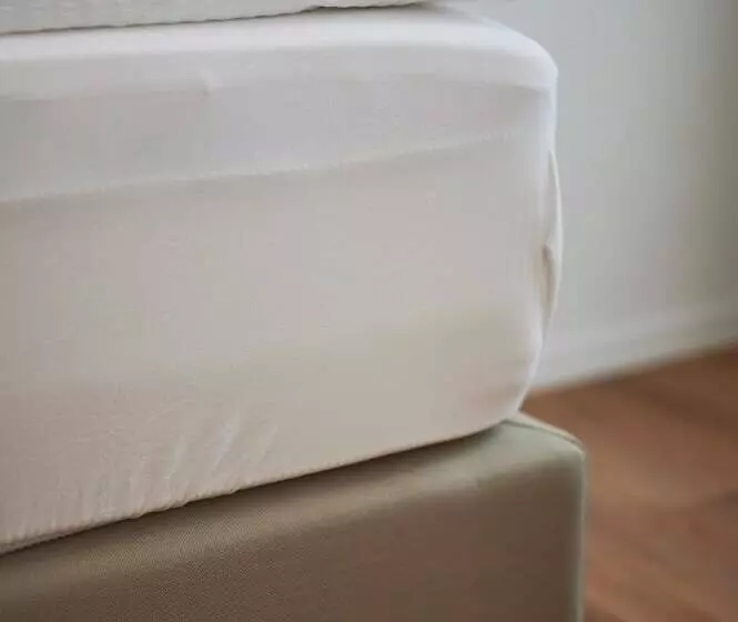 בית מלון כפרי Artist