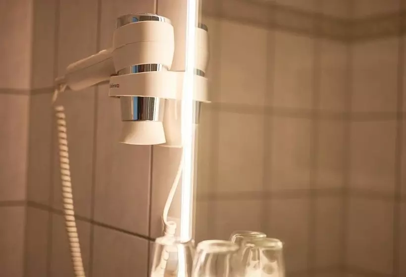 בית מלון כפרי Artist