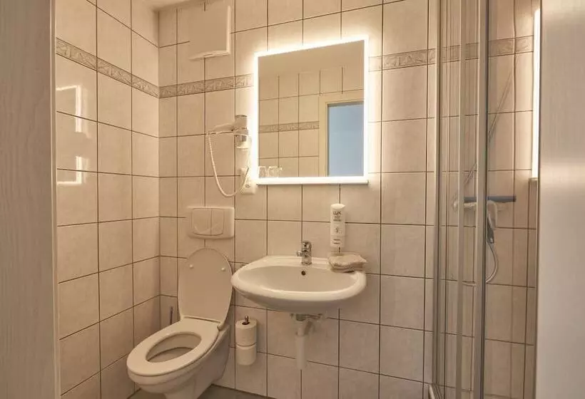 בית מלון כפרי Artist