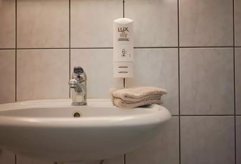 בית מלון כפרי Artist