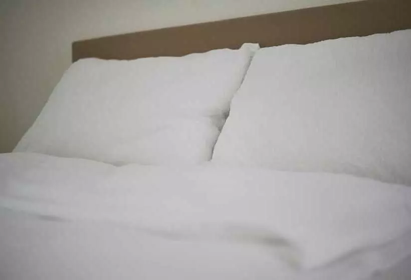 בית מלון כפרי Artist