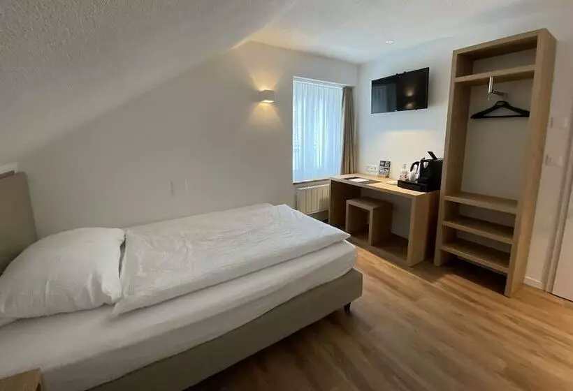 בית מלון כפרי Artist