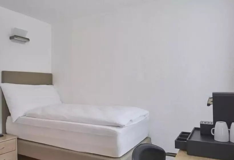 בית מלון כפרי Artist