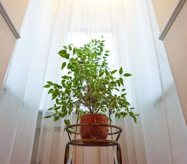 ホテル Artradischev