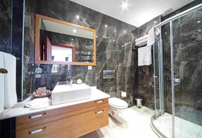 ホテル Dilhayat Kalfa