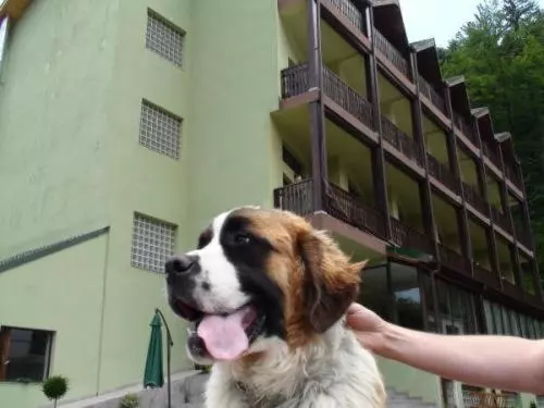 Отель Ezio House