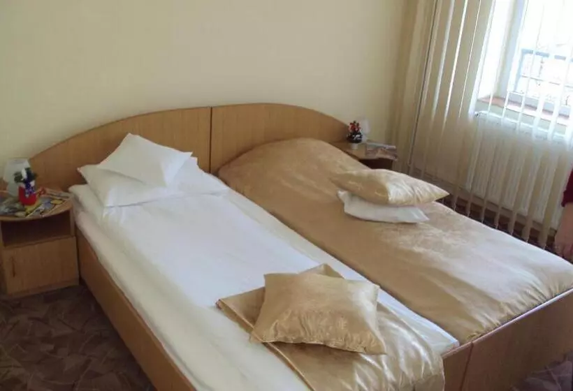 Hotelli Pensiunea Warthe