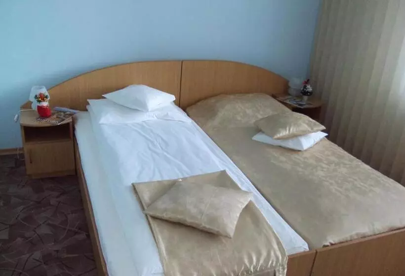 Hotelli Pensiunea Warthe