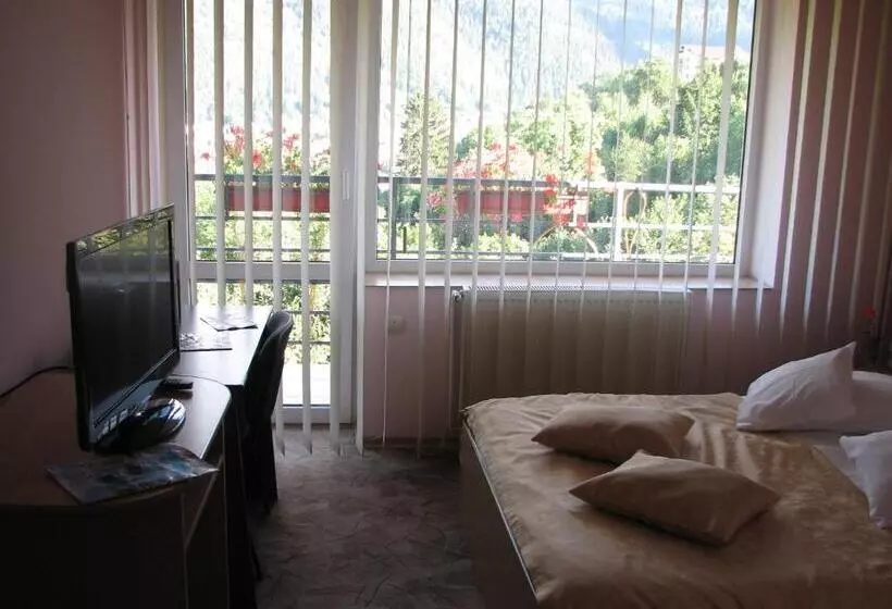 Hotelli Pensiunea Warthe