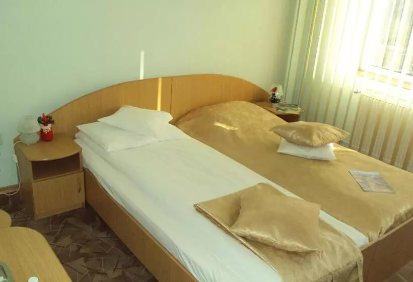 Hotelli Pensiunea Warthe