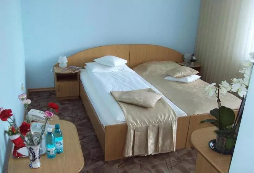 Hotelli Pensiunea Warthe