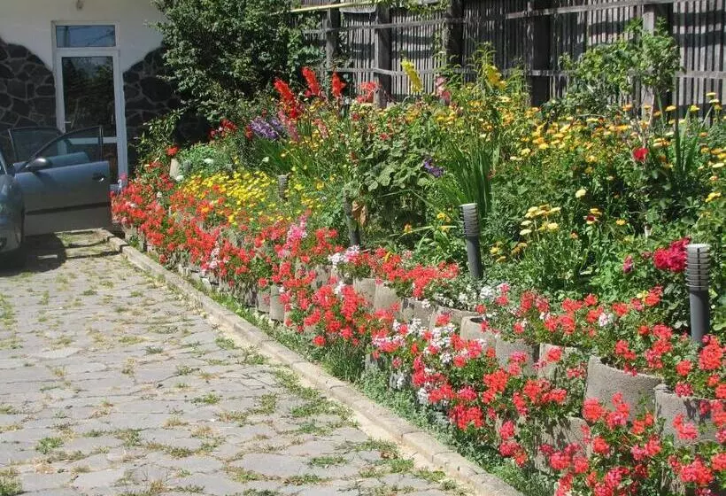 Hotelli Pensiunea Warthe