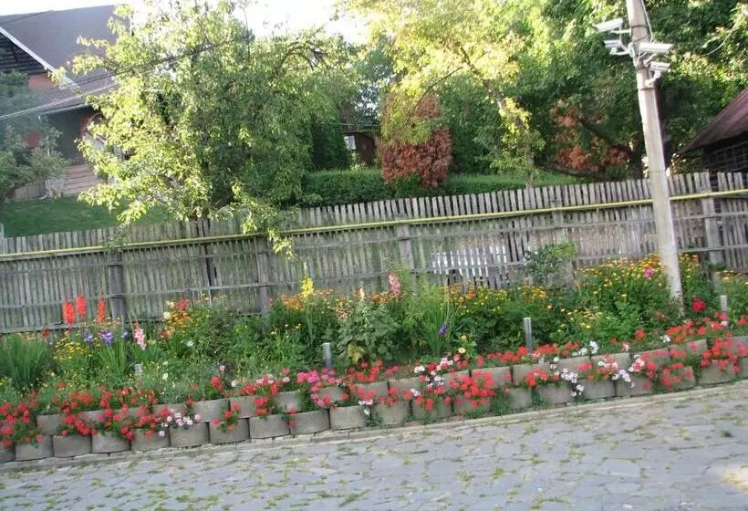 Hotelli Pensiunea Warthe