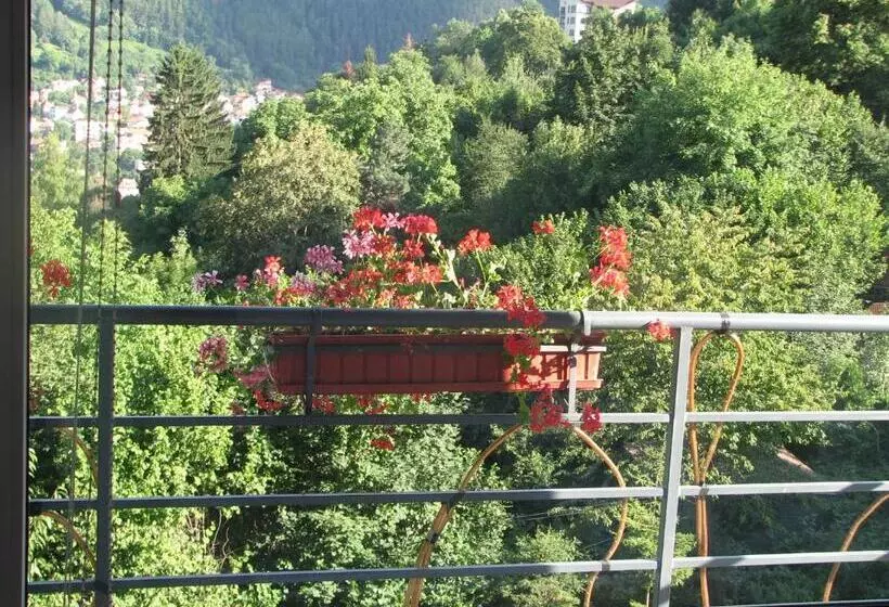 Hotelli Pensiunea Warthe