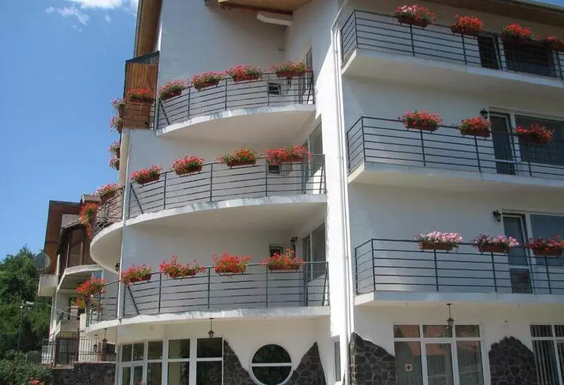 Hotelli Pensiunea Warthe