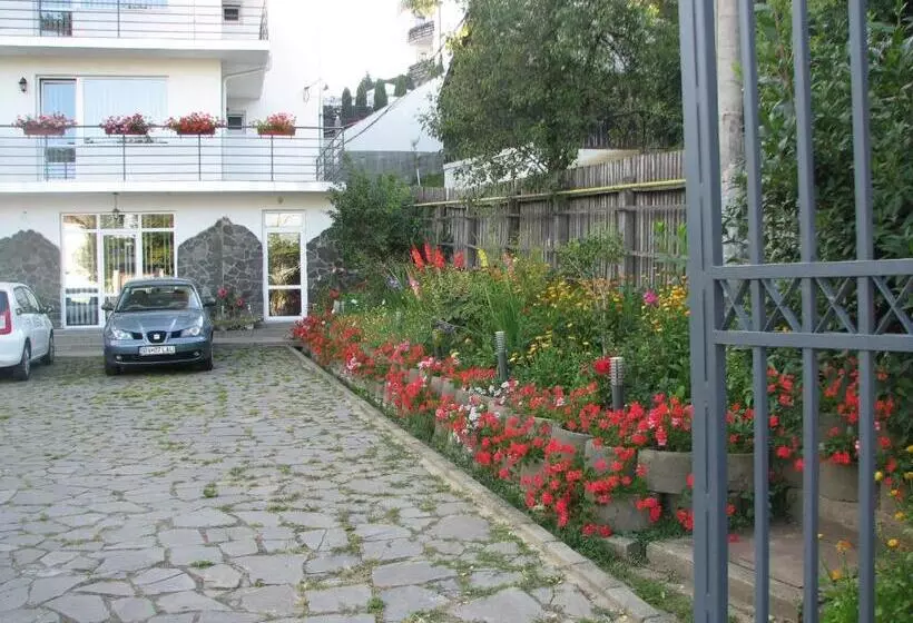 Hotelli Pensiunea Warthe