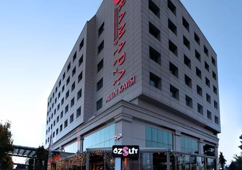 Отель Ramada Plaza Altin Kayisi