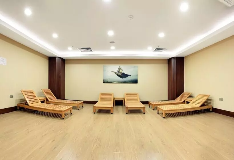 Отель Ramada Plaza Altin Kayisi