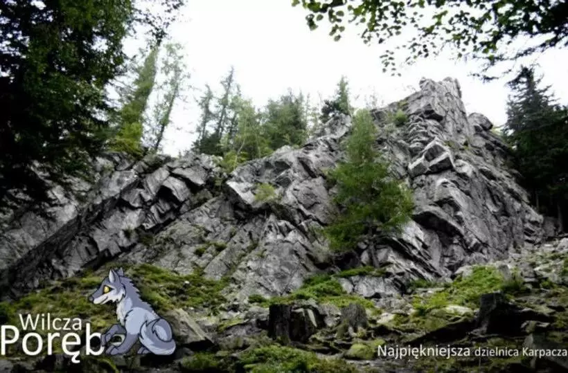 호텔 Willa Góral Goralska Osada Domki Apartamenty Pokoje