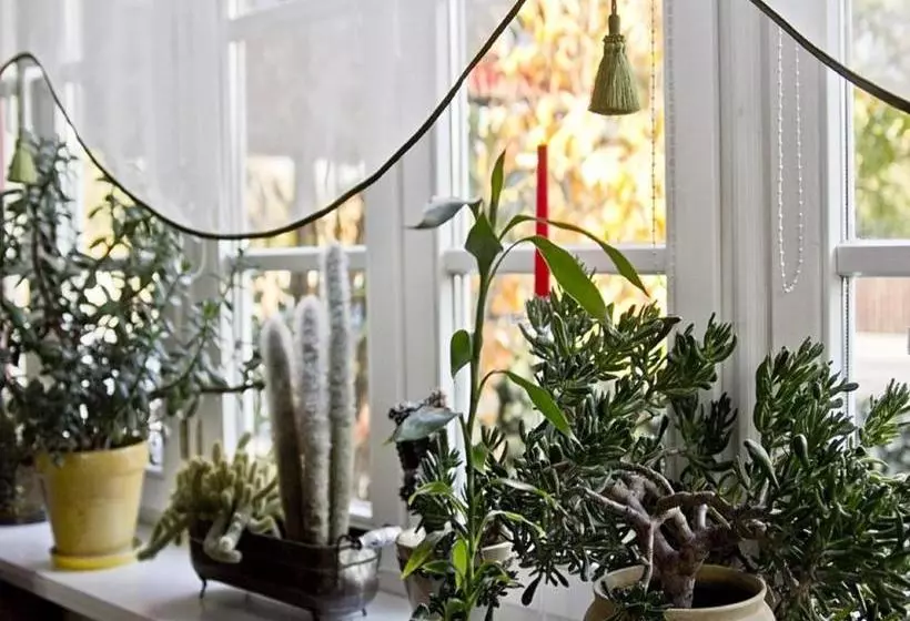 Отель Pensjonat Zacisze