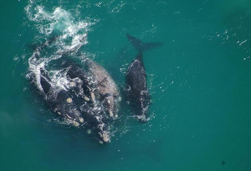 ペンション Lavender Manor Guest Lodge