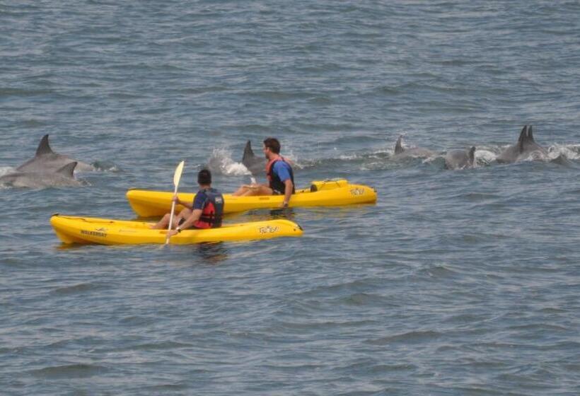 ペンション Lavender Manor Guest Lodge