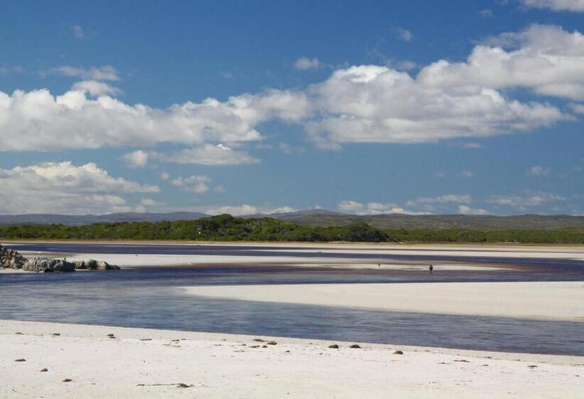 ペンション Lavender Manor Guest Lodge