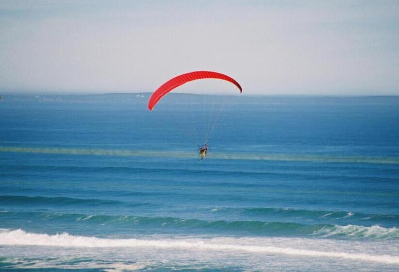 ペンション Lavender Manor Guest Lodge