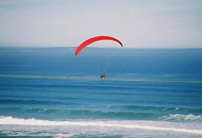 پانسیون Lavender Manor Guest Lodge