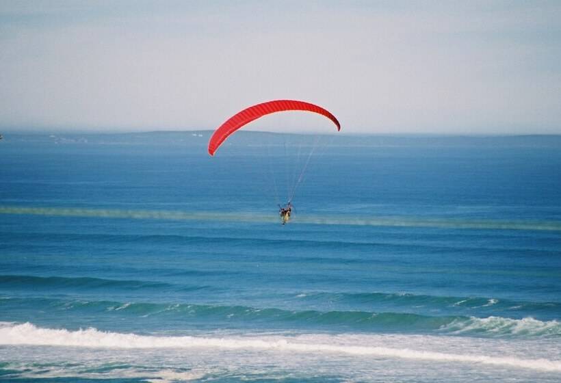 ペンション Lavender Manor Guest Lodge