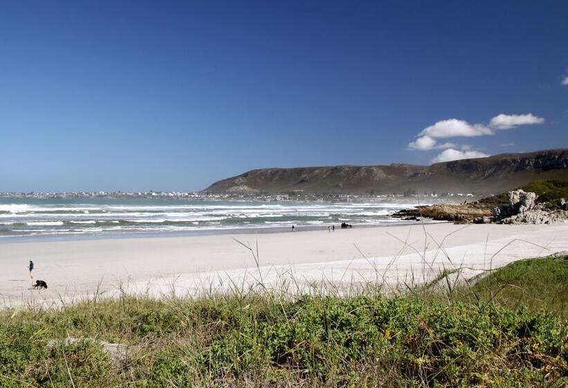 ペンション Lavender Manor Guest Lodge