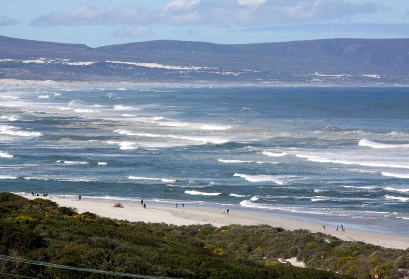 ペンション Lavender Manor Guest Lodge