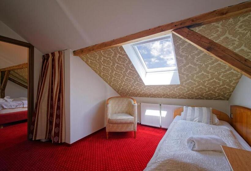 פנסיון Penzion Janka