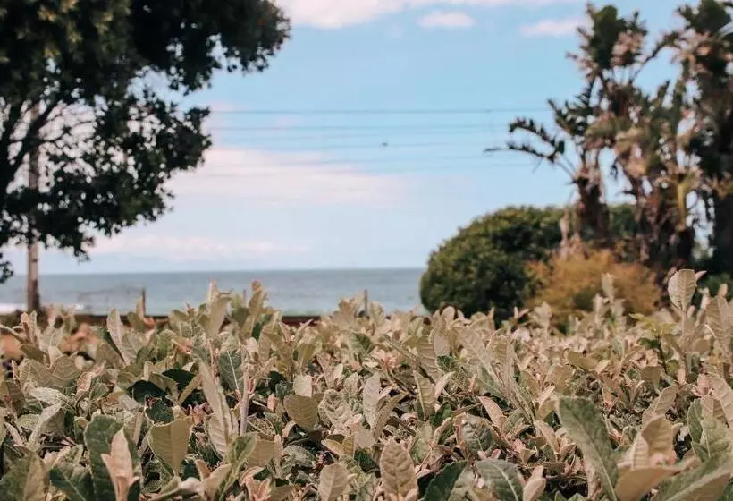 ペンション Sonnekus Boutique Hotel & Bistro In St James