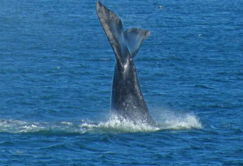 ペンション Sonnekus Boutique Hotel & Bistro In St James