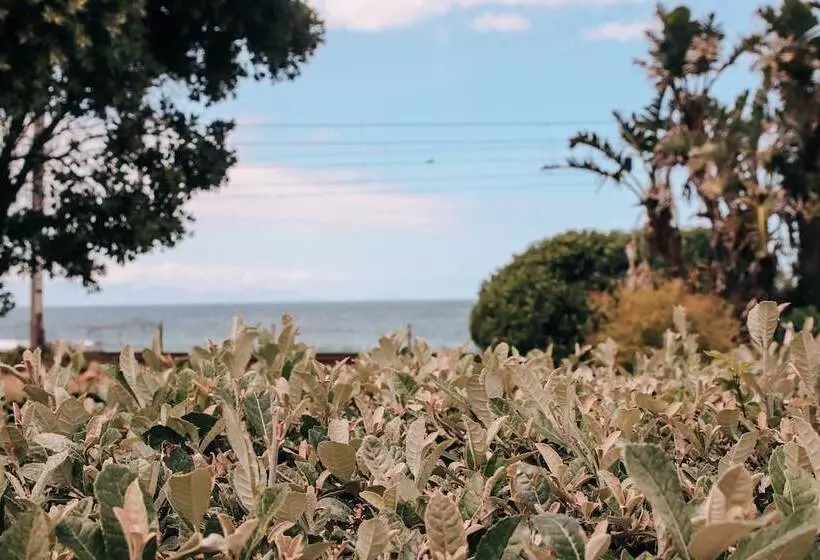 ペンション Sonnekus Boutique Hotel & Bistro In St James