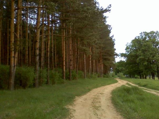 Strigino Hotel Complex