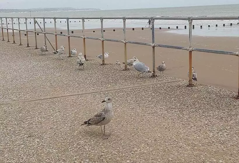 レジデンス Family Fun 2bed Caravan Family Romney Marsh