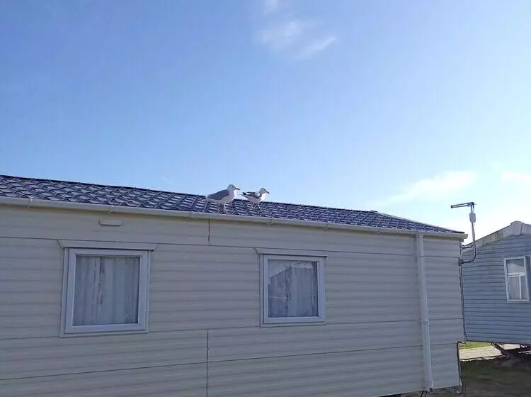 レジデンス Family Fun 2bed Caravan Family Romney Marsh