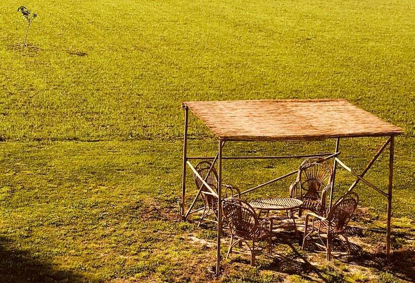 Room In B&b   B&b Carlonga 2 Double Rooms For 4 People