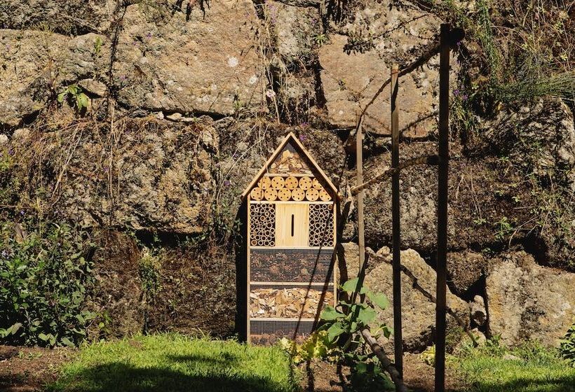 Casa Agrícola Da Levada Eco Village