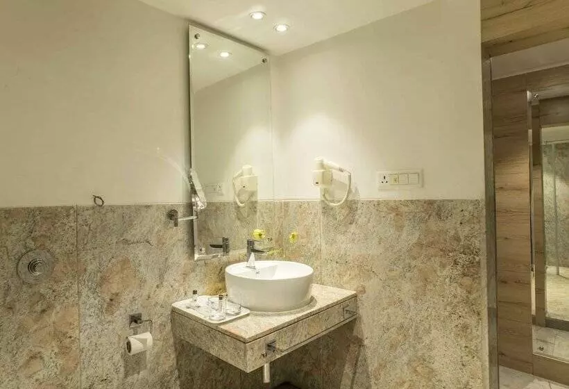 The Citi Residenci Hotel   Durgapur