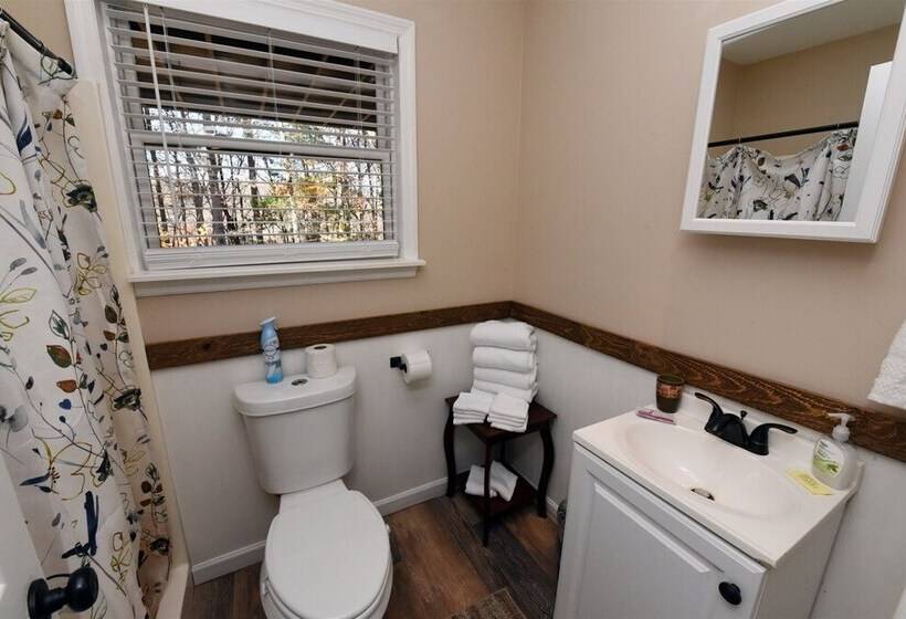 Misty Mountains Manor & Overlook Blue Ridge Ga