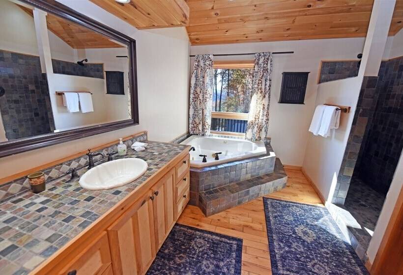 Misty Mountains Manor & Overlook Blue Ridge Ga