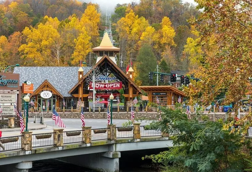 514bearhaustnncb   Bear Haus