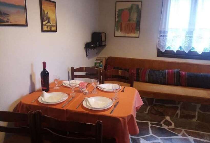 Beautiful Petrino 1880