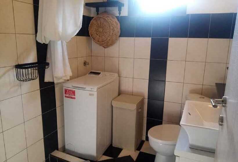 Beautiful Petrino 1880